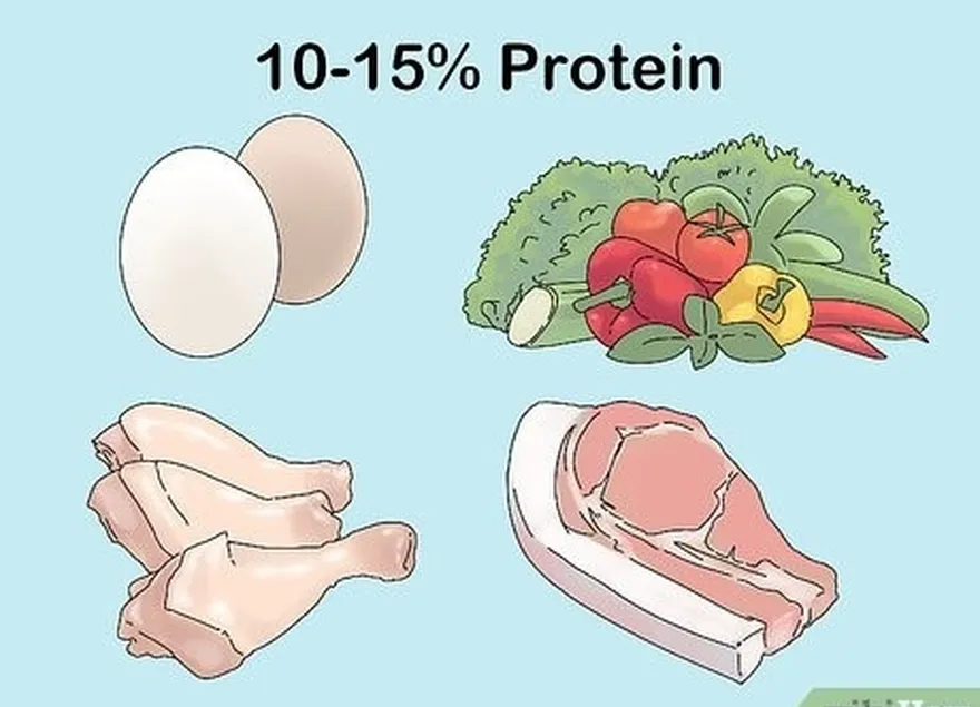 adım 2 her gün kalorinizin %10-15'i kadar protein tüketin.