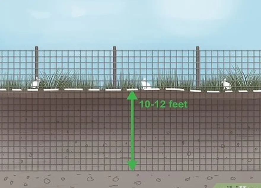 adım 1 tavşanları dışarıda tutmak için çit kurun.