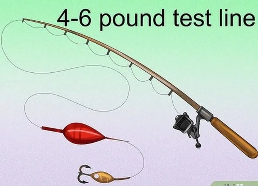 adım 1 4 ila 6 pound test misinası ile hafif aksiyonlu bir kamış kullanın.