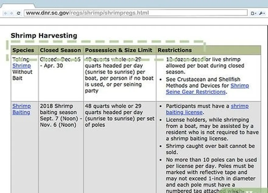 adım 3 eyaletinizi öğrenmek için internetten kontrol edin's shrimp catching regulations.