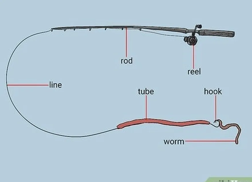 adım 2 tüpü uçlandırın's hook with a live sandworm or herring strip.