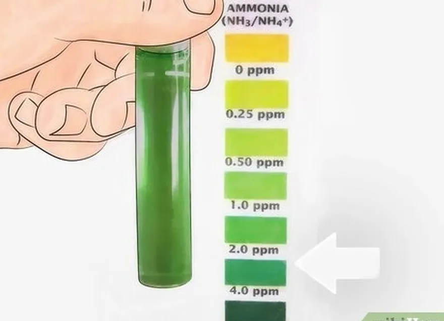 adım 4 amonyak seviyesini yaklaşık üç ppm'de tutmaya çalışın.