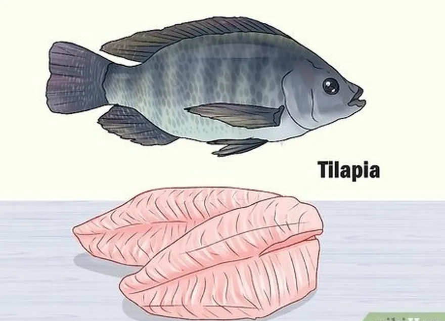 adım 1 az yağlı bir protein istiyorsanız morina balığı veya tilapia yiyin.