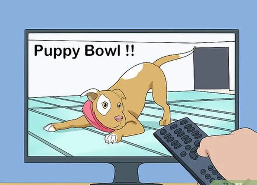 adım 6 maçtan önce puppy bowl'u izleyin.