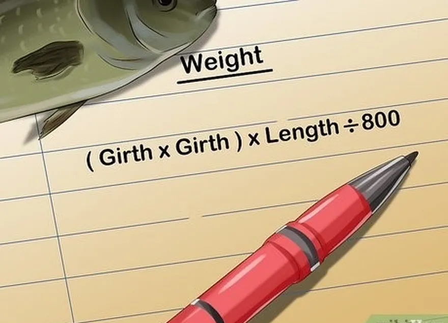 adım 3 balığı hesaplayın's weight once you have the length and girth.