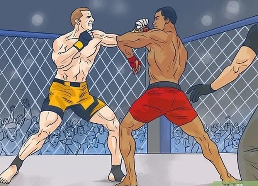 adım 1 karma dövüş sanatları (mma) popüler bir tam temaslı dövüş sporudur.