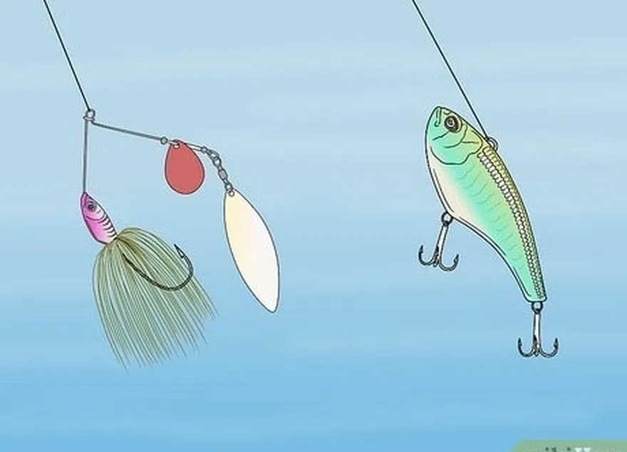 adım 7 şüpheye düştüğünüzde, bir spinnerbait veya crankbait seçin.