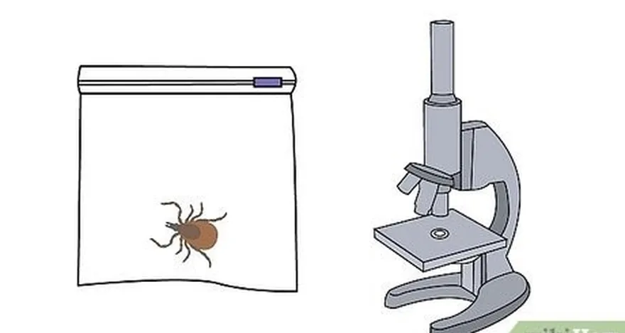 adım 2 keneyi test için saklamayı düşünün.