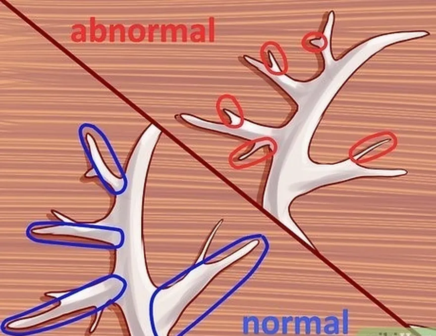 adım 1 normal noktaları anormal noktalardan ayırt edin.