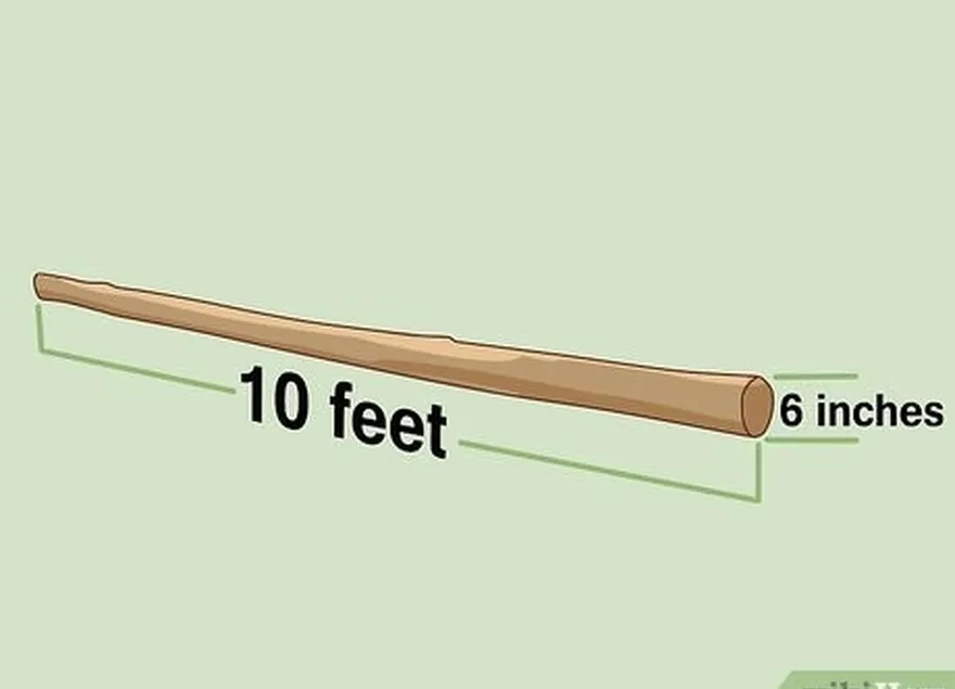 adım 2 10 feet (3,0 m) uzunluğunda ve 3-6 inç (7,6-15,2 cm) kalınlığında bir dal bulun.