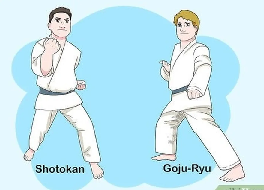 adım 1 karate stillerini öğrenin.